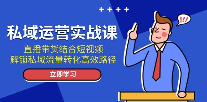 私域运营实战课：直播带货结合短视频，解锁私域流量转化高效路径-网创资源