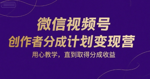 微信视频号创作者分成计划变现营，用心教学，直到取得分成收益-网创资源