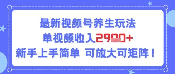 视频号养生玩法，单视频收入2.9k，新手上手简单-网创资源
