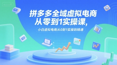 拼多多全域虚拟电商从零到1实操课，小白虚拟电商从0到1实操到精通-网创资源