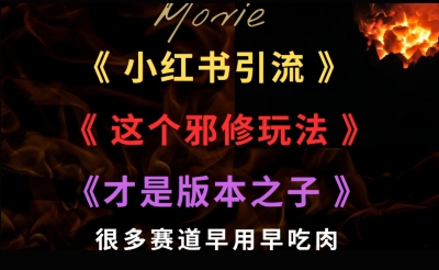 最近小红书引流这个邪修玩法才是版本之子，很多赛道早用早吃肉-网创资源