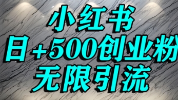 小红书无限引流创业粉，单人操作日引500+精准创业粉-网创资源