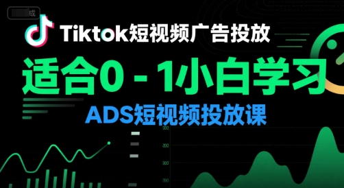 Tiktok短视频广告投放，适合0-1小白学习ADS短视频投放课-网创资源