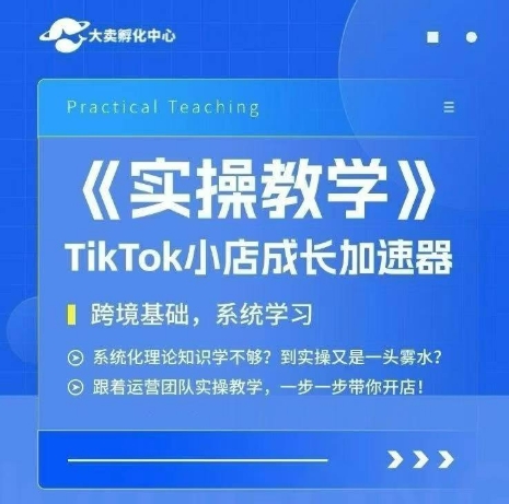 大卖家孵化中心TikTok实操课，TikTok小店成长加速器，跨境基础系统学习，一步一步带你开店-网创资源