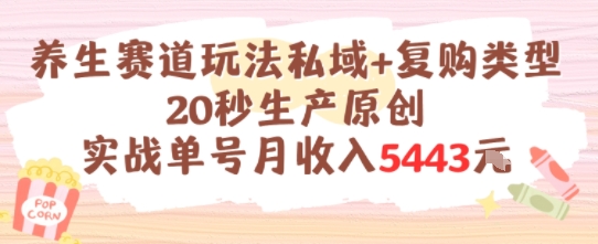 养生赛道玩法私域+复购类型，20秒生产原创实战单号月收入5k+-网创资源