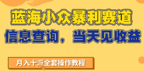 蓝海小众暴利赛道，信息查询，当天见收益，不讲玄学，7天搞了2W+-网创资源