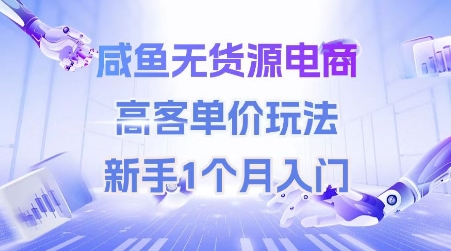 咸鱼无货源电商，高客单价玩法，新手1个月入门-网创资源