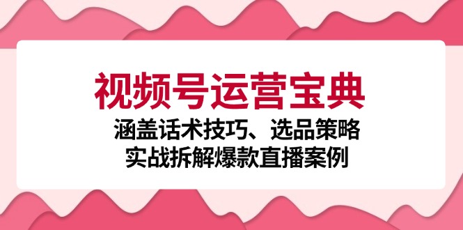 视频号运营宝典：涵盖话术技巧、选品策略、实战拆解爆款直播案例-网创资源