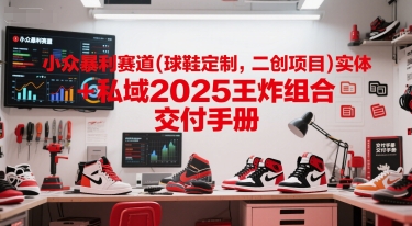 小众暴利赛道(球鞋定制，二创项目)实体+私域2025王炸组合  交付手册-网创资源