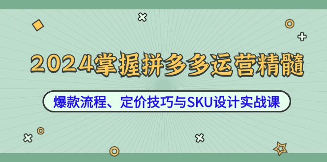 2024掌握拼多多运营精髓：爆款流程、定价技巧与SKU设计实战课-网创资源