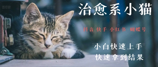 拆解，疯狂火爆！抖音，小红书，视频号小猫治愈的视频，轻松制作+快速拿到结果-网创资源
