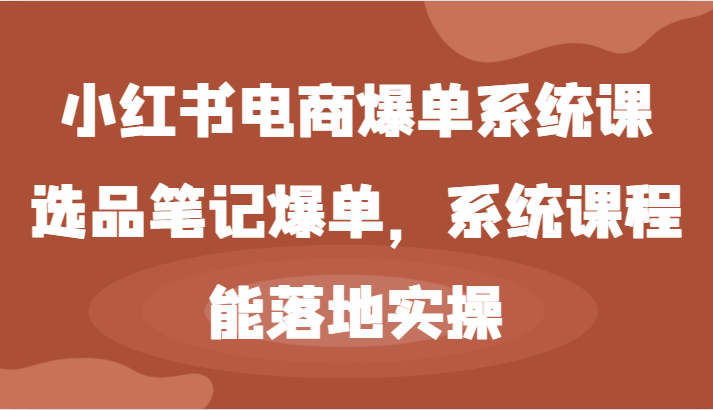 小红书电商爆单系统课-选品笔记爆单，系统课程，能落地实操-网创资源