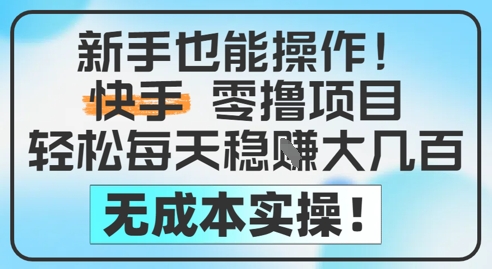新手也能操作，快手零撸挣米，轻松每天挣2-5张，完全无成本-网创资源