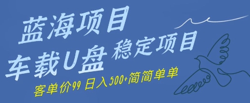 蓝海项目车载U盘稳定项目，挣的就是信息差，客单价99，日入几张简简单单-网创资源
