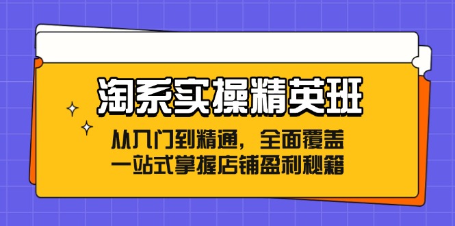 淘系实操精英班：从入门到精通，全面覆盖，一站式掌握店铺盈利秘籍-网创资源