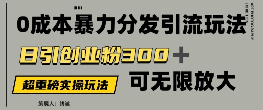 价值5980的0成本暴力引流玩法，日引创业粉300+，可无限放大-网创资源