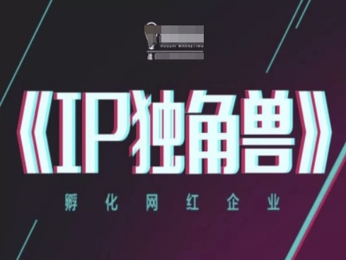 IP独角兽，孵化网红企业，ip教程-网创资源