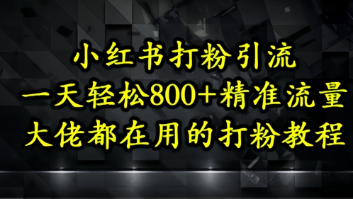 小红书打粉引流，一天轻松500+精准流量，大佬都在用的打粉教程-网创资源