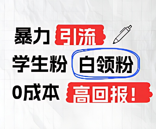 暴力行为引流方法学生们粉上班族粉，完爆过去废弃物游戏玩法，0成本费，高收益-网创资源