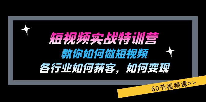 小视频实战演练夏令营：教大家如何做短视频，各个行业如何获客，如何盈利 (60节)-网创资源
