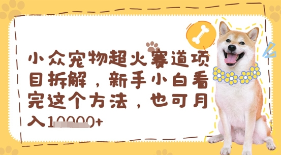 小众宠物超火赛道项目拆解，新手小白看完这个方法，也可月入过w-网创资源