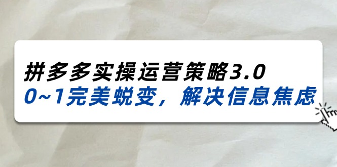 2024-2025拼多多平台实际操作运营战略3.0，0~1华丽蜕变，处理信息焦虑（38节）-网创资源