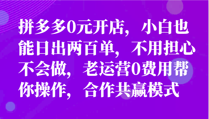 全新拼多多平台优质企业新手褔利，二天销售量过百单，不要钱、老经营代实际操作-网创资源
