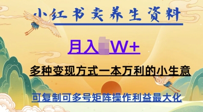 在小红书上卖养生资料，月入1w+，多种变现方式一本万利的小生意-网创资源