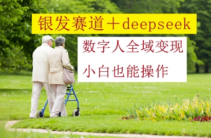 银发赛道+deepseek数字人全域变现，小白也能操作-网创资源