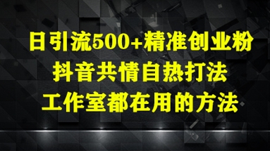 日引流500+精准创业粉，抖音共情自热打法，工作室都在用的方法-网创资源