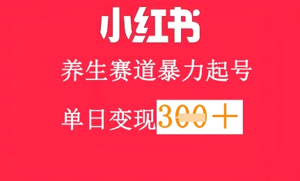 小红书养生赛道，暴力起号，轻松日入3张+-网创资源
