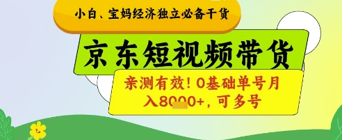 小白宝妈经济独立必备干货，京东短视频带货，亲测有效!0基础单号月入8k+，可多号【揭秘】-网创资源