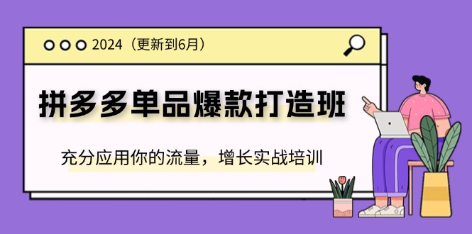 2024拼多多单品爆款打造班，充分应用你的流量，增长实战培训(更新6月)-网创资源