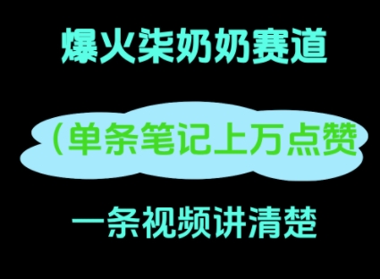 小红书爆火柒奶奶，13 天涨粉 8.7 W，全流程拆解-网创资源