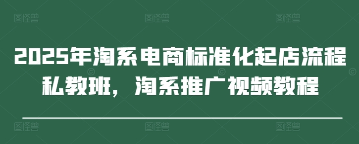 2025年淘系电商标准化起店流程私教班，淘系推广视频教程-网创资源