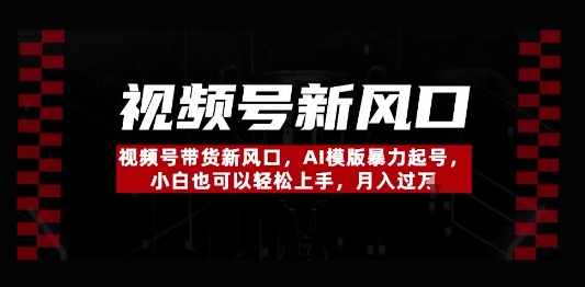 视频号带货新风口，AI模版暴力起号，小白也可以轻松上手，月入过W-网创资源