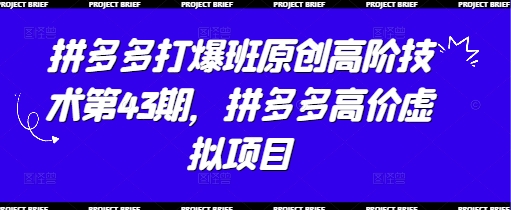 拼多多打爆班原创高阶技术第43期，拼多多高价虚拟项目-网创资源