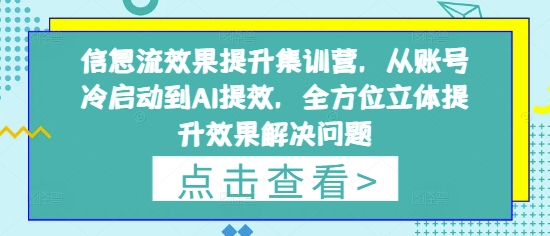 信息流效果提升集训营，从账号冷启动到AI提效，全方位立体提升效果解决问题-网创资源
