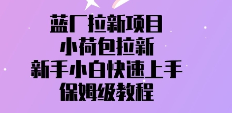 蓝厂拉新项目，小荷包拉新，新手小白快速上手，保姆级教程-网创资源