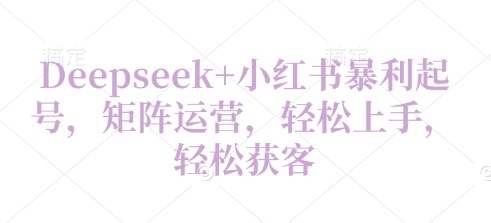 Deepseek+小红书暴利起号，矩阵运营，轻松上手，轻松获客-网创资源