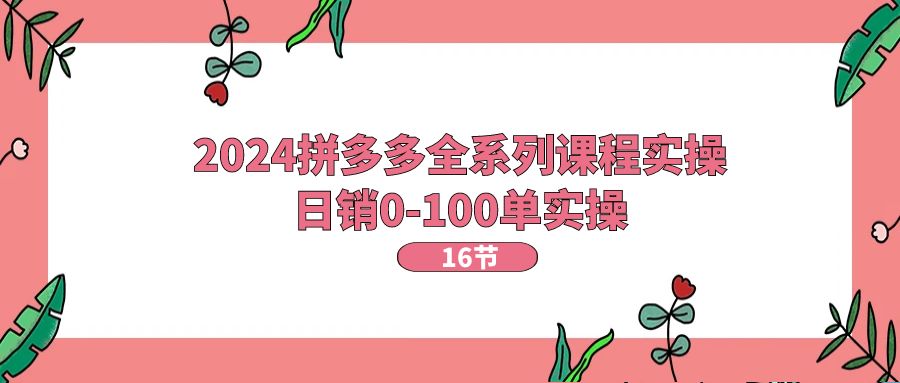 2024拼多多平台全主题课程实际操作，日销0-100单实际操作【16堂课】-网创资源