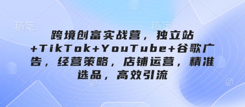 跨境创富实战营，独立站+TikTok+YouTube+谷歌广告，经营策略，店铺运营，精准选品，高效引流-网创资源