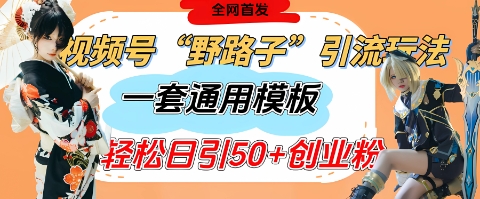 视频号“野路子”玩法，评论区疯狂截流，一套模板单日单号引流50+创业粉-网创资源