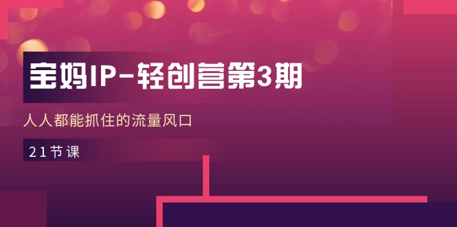 宝妈IP轻创营第3期，人人都能抓住的流量风口（21节课）-网创资源