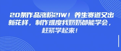20条作品涨粉21W！养生赛道又出新花样，制作难度我奶奶都能学会，赶紧学起来-网创资源