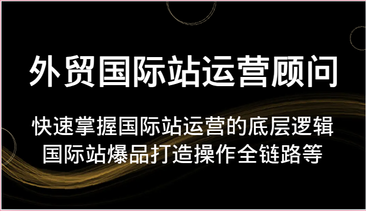 外贸国际站运营顾问-快速掌握国际站运营的底层逻辑，国际站爆品打造操作全链路等-网创资源