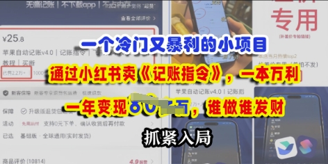 一个冷门需求，通过小红书卖《记账指令》，一本万利，谁做谁发，抓紧入局-网创资源