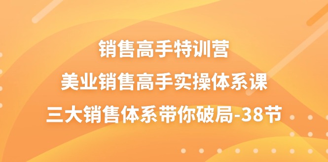 销售高手特训营，美业销售高手实操体系课，三大销售体系带你破局（38节）-网创资源