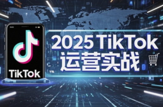 2025TikTok电商运营，掌握TikTok店铺运营核心技巧，实现低成本高转化-网创资源