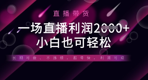 半无人直播带货，一场利润数张，适合所有平台玩法，小白也可轻松-网创资源